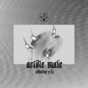 Acidic Male  - A Freak For Cheese (Public Energy Remix)