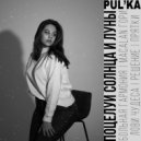 PUL’KA - Решение