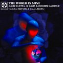 D. G., JD D. & J. G. - The World Is Mine