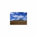 Sleep BGM Mindfulness - Sleep BGM Asphalt and Refresh