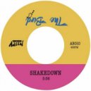 CAD73 - Shakedown