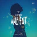 Interplanet - Velvet Dreamer