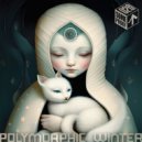 Polymorphic - Sorcerer's Dance