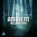 Slim Shadow - Serene Horizons (Original Mix)