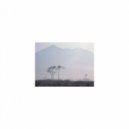 Sleep BGM Mindfulness - Sleep BGM Diamond and Mental stability (Original Mix)