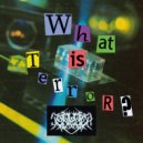 DestroMachine - What is terror?