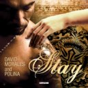 David Morales, Polina - Stay