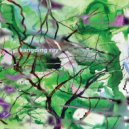 Kangding Ray - Robust Version Nine (Original Mix)