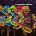 Placid Angles - Cha\'kwaina (Marcel Dettmann Remix)