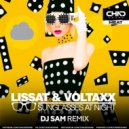 Lissat & Voltaxx - Sunglasses At Night