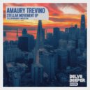 Amaury Trevino - I Missed You (Original Mix)