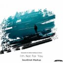 Elissandro Vs Kohta Imafuku & Ocoro - I\'m Not for You (SounEmot Mashup)