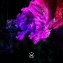 Sasha Carassi - Ametista