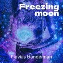 Flavius Handerman - Drasko