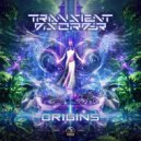 Transient Disorder - Perception