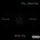 Fly_Warrior - Flowin