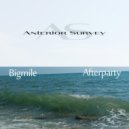 Bigmile - Afterparty