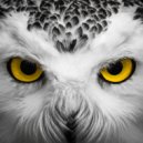 Temporary Hero - Suspicions