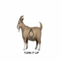 ANOM ALEEZ & Emily Spearman - Turn It Up (feat. Emily Spearman) ()