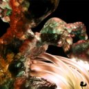 Dist & Zisko - Speed of Harmonics ()