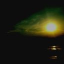 greensnake - Night