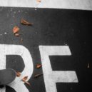 DJ Shon - Fallen Leaves