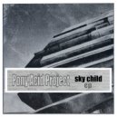 Pony Acid Project - Words By