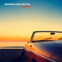 beetrooz - Someone Just Like You