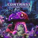 Contrast - Zoolanding (Original Mix)