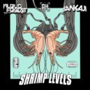 Bankaji & Kloud Forest - Shrimp Levels