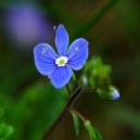 Viktor Vos - Once Again (Original Mix)