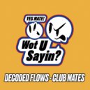 Decoded Flows - Flavas (Original Mix)