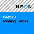 Peetu S - Missing Tracks (Extended Mix)