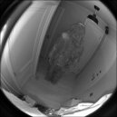 Notnotgold - 150bpm ()