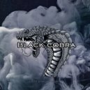 Vereshagin remix - Black Cobra ()