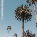 Tacarcuma - Autumn Palms