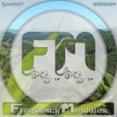 Saginet - Frequency Melodies 009 ()