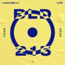Liam Melly - Life (Original Mix)