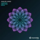 Analog Jungs - Here & Now