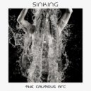 The Cautious Arc - Sinking