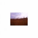 Sleep BGM Mindfulness - Sleep BGM Friday and Relaxation