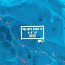 Vincenzo Lauretta - Pisco Surf (Michael Ritch Remix)