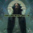 Sharigrama - Magic Land (Raven Rise Remix)