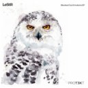 LeStr - Digital Hell\'s Prisoner (Original Mix)