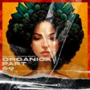DIIMTA - ORGANICA MIX PART 69 (Compiled & Mixed by DIMTA)