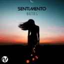 Walter G - Sentimento (Original Emotional Mix)
