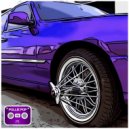 Pollie Pop - Mixing It Up on Greenbay