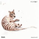 Brain - Perspective