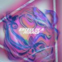 skilyree - excess in a mirage ()