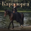 Ринат Салихьянов & Tomoov - Кара юрга ()